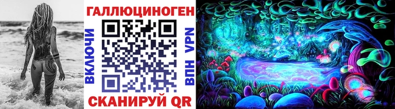 Псилоцибиновые грибы Psilocybine cubensis  Астрахань 