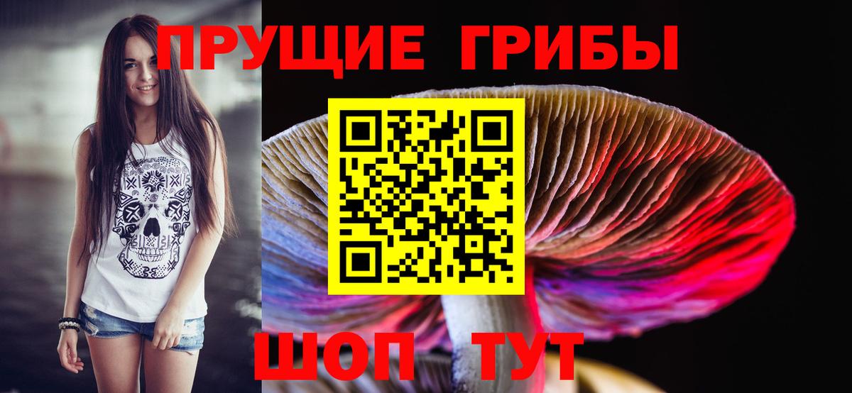 Астрахань  Галлюциногенные грибы MAGIC MUSHROOMS  Вход с VPN 
